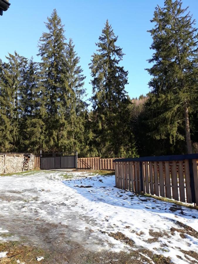 Ozdoba Villa Verchovyna Exteriör bild