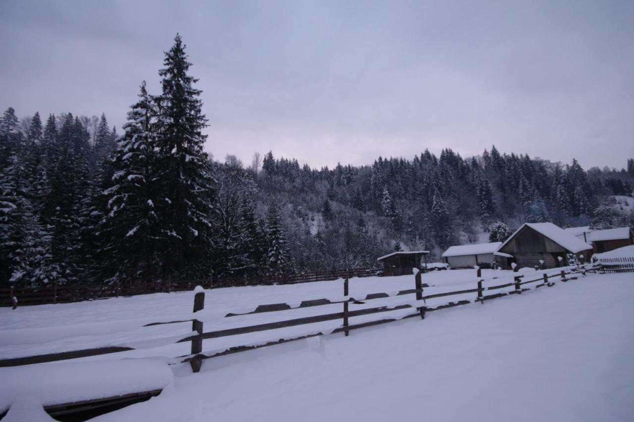 Ozdoba Villa Verchovyna Exteriör bild