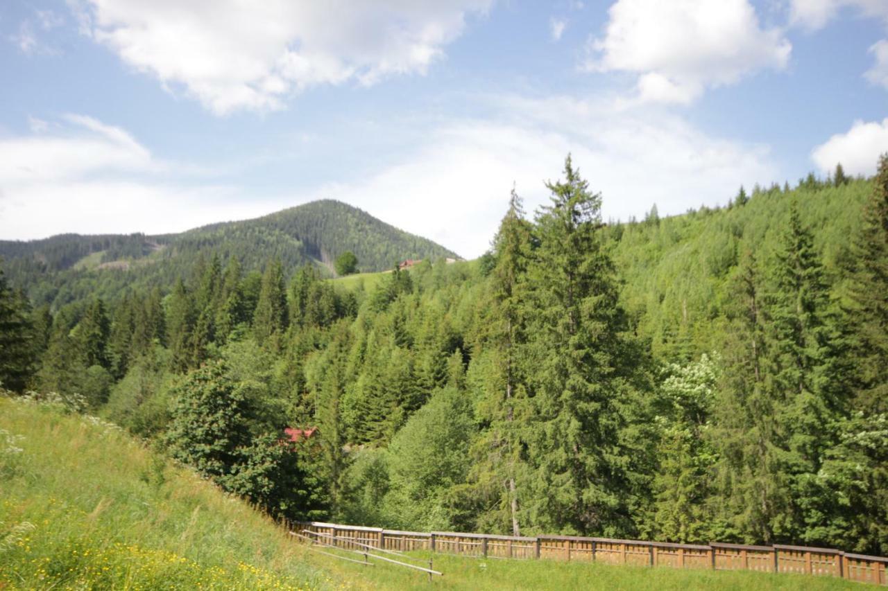 Ozdoba Villa Verchovyna Exteriör bild
